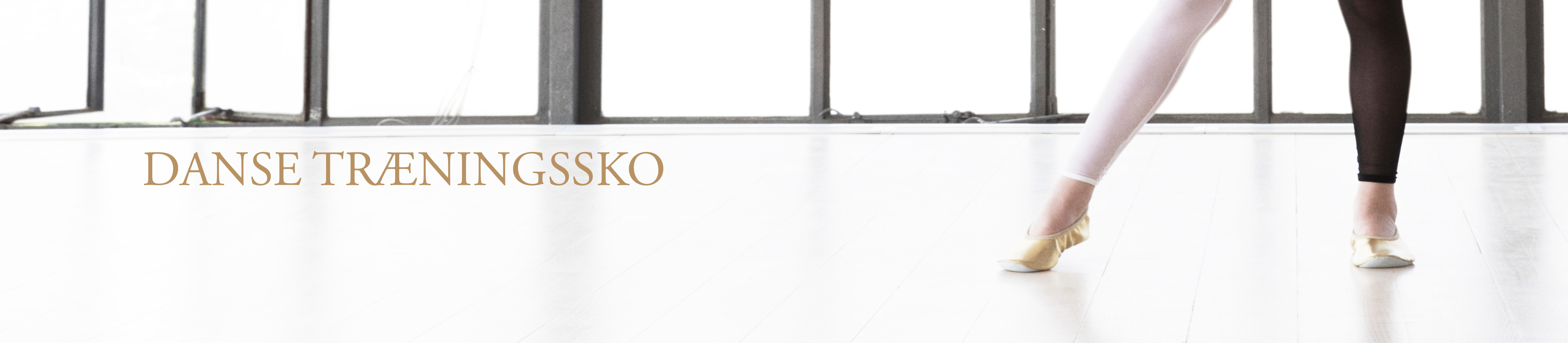 Danse træningssko