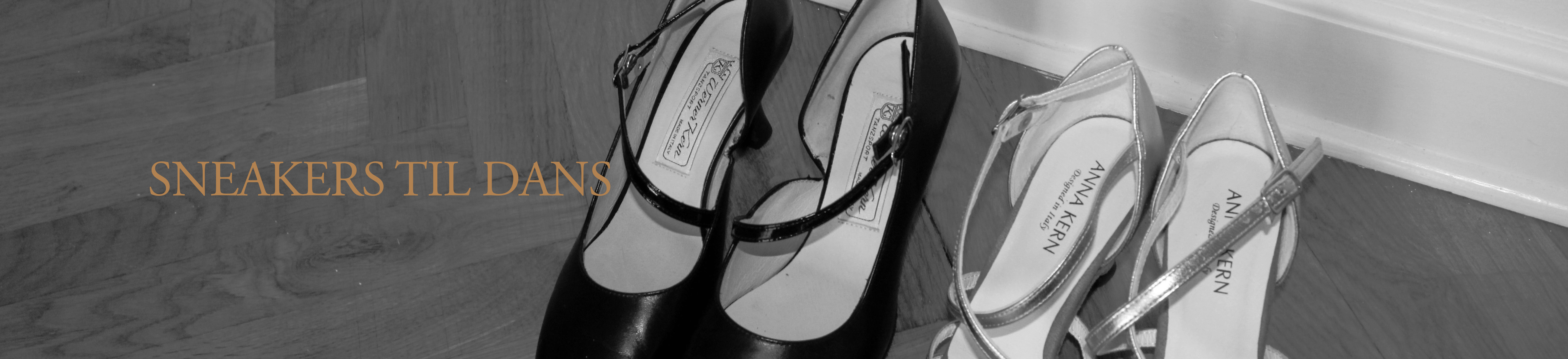 Sneakers / zumbadansesko Sneakers / zumbadansesko