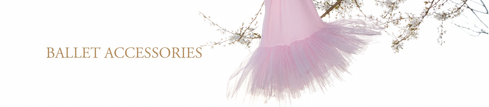 Ballet accessories