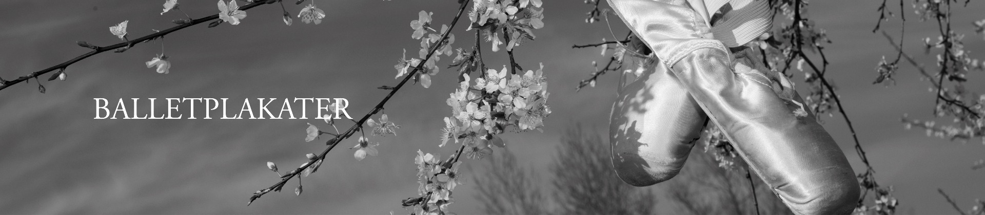 Balletplakater