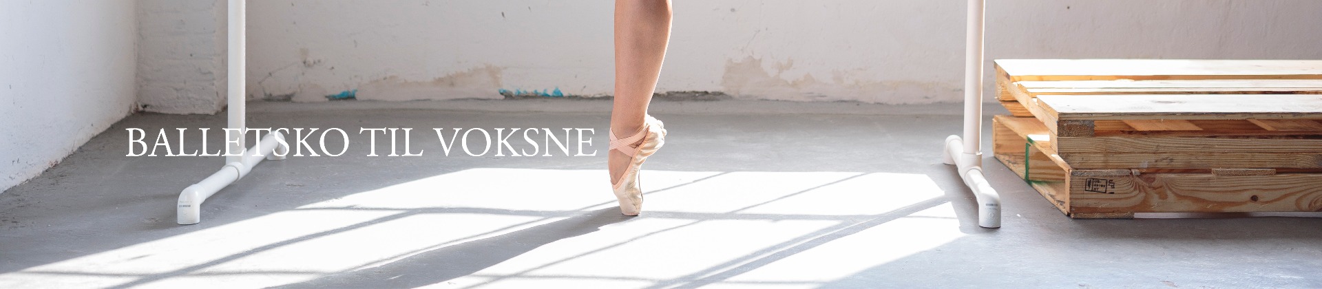 Balletsko til voksne Balletsko til voksne