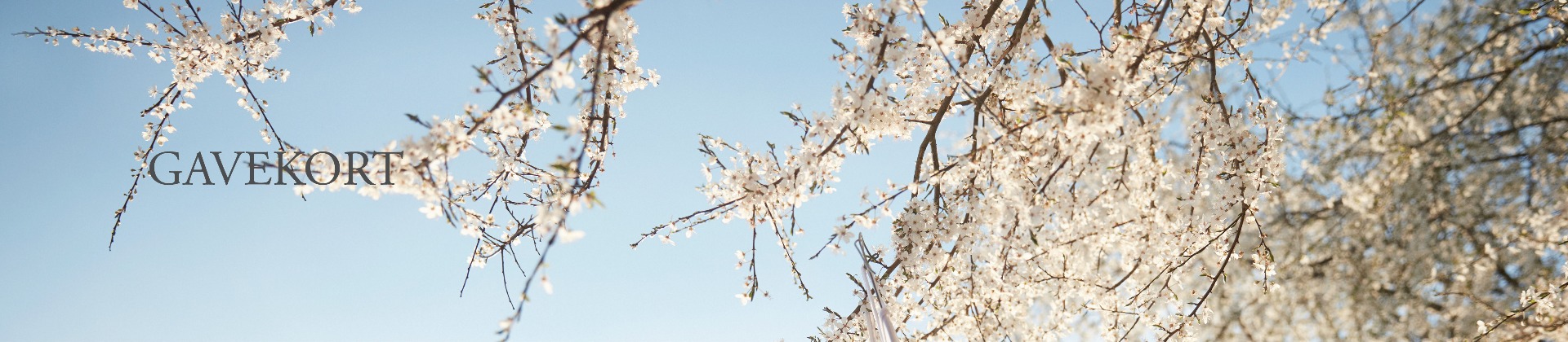 Gavekort