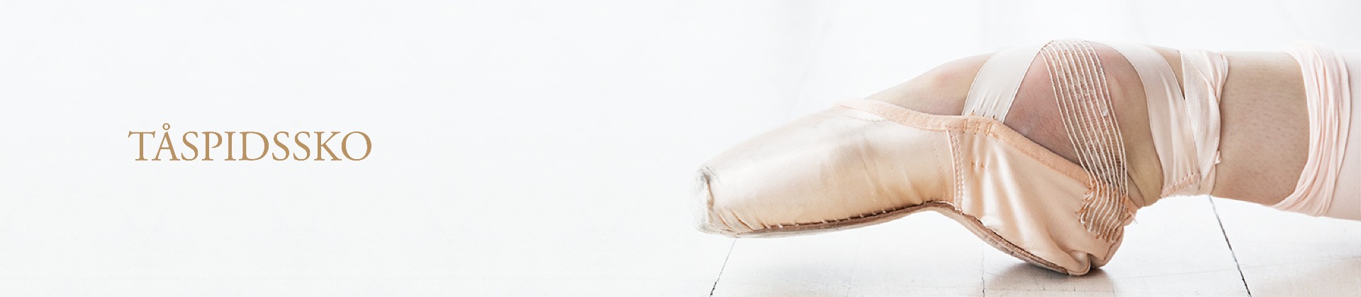 Tåspidssko 